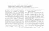 Effect of Antidiuretic Hormone on Humandm5migu4zj3pb.cloudfront.net/manuscripts/105000/105797/...Effect of Antidiuretic Hormoneon Human Small Intestinal Water and Solute Transport
