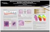 (MP58-06) Automated Staging of T1 Bladder Cancer Using ...assets.auanet.org/SITES/AUAnet/PDFs/AUA2018-Posters-MP58-06.pdfNormal bladder mucosa is comprised of urothelium (U), resting