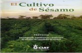  · 2013-05-29 · de , tiene la satisfacción de poner al servicio de los agricultores, este boletín que contiene información técnica relevante sobre el cultivo de esta oleaginosa.