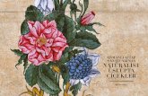 OSMANLI KİTAP SANATLARINDA NATÜRALİST ÜSLÛPTA ÇİÇEKLER · Osmanlı Barok çağında, klasik motifler yerine akant yaprakları, deniztarağı, istiridye ve benzeri yabancı