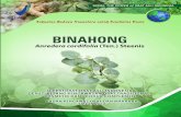 BADAN POM BINAHONG BINAHONG Anredera cordifolia (Ten.) Steenis Hak cipta dilindungi oleh undang-undang