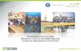 PROGRAMUL RO-CULTURA Ministerul Culturii și Identității ... · Sprijinirea inițiativelor culturale despre minoritatea rom ... parteneri de proiect pentru pregătirea și dezvoltarea
