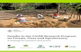 Gender in the CGIAR Research Program on Forests, Trees and ... · which women’s effectiveness in leadership of forest user group committees declines, and that there are significant