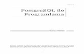 PostgreSQL ile Programlama - EnderUNIXenderunix.org/docs/postgresql-ile-programlama-20060214.pdf · 2009-06-05 · 2006-02-14 II. C Arayüzü libpq kütüphanesi, programcıların