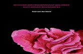 INITIATION AND PROGRESSION OF MÜLLERIAN DUCT DERIVED ... Paul Henryk van der - BEWERKT.pdf · Initiation and progression of Müllerian duct derived malignancies Thesis, Erasmus University
