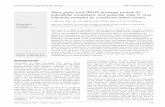 Rana grylio virus (RGV) envelope protein 2L: subcellular ...fwf.ag.utk.edu/mgray/ranavirus/2014Publications/Heetal2014.pdf · Rana grylio virus (RGV) envelope protein 2L: subcellular