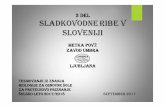 3 DEL Sladkovodneribe v Sloveniji¾-Tujerodne-vrste-rib-v-SLO...(jezera, ribniki, mlake, mrtvice, akumulacije) do manjših in večjih hitro ali počasi tekočih v vodotokov. Življenjski