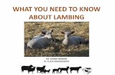 WHAT YOU NEED TO KNOW ABOUT LAMBING - ablamb.ca€¦ · WHAT YOU NEED TO KNOW ABOUT LAMBING • Normal lambing –Udder fills with colostrum (starts 14 days prior) –Vulva swollen