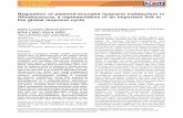 Regulation of plasmidencoded isoprene metabolism …repository.essex.ac.uk/13708/1/Crombie_et_al-2015...Regulation of plasmid-encoded isoprene metabolism in Rhodococcus, a representative