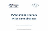 Membrana Plasmáticavinculacion.ucsh.cl/wp-content/uploads/Membrana... · 2018-11-06 · Estructura de la Membrana Plasmática y Mecanismos de transporte a través de la membrana.