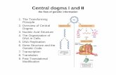 5 Central Dogma I o II.ppt - LTHCentral dogma I and IICentral dogma I and II the flow of genetic information 1. Th T f iThe Transforming Principle 2. Overview of Central Dogma 3. Nucleic