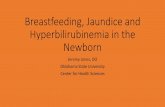 Breastfeeding, Jaundice and Hyperbilirubinemia in the Newborn ... bilirubin, newborn infants must be