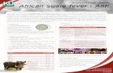âÃ¤ÍËÔÇÒµ áÍ¿ÃÔ¡Òã¹ÊØ¡Ã African swine fever : ASFvet.ku.ac.th/vv2018/images/slideshow/10_2018/poster4... · 2018-10-02 · - ตายเฉียบพลันโดยไม่แสดงอาการ
