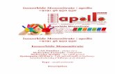 Isosorbide Mononitrate | apollo +9191 46 950 950apollopharma.in/pdf/Isosorbide Mononitrate.pdfAdverse effects associated with the clinical use of the drug are as expected with all