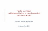 doc.dr. Marko Anderluh · Tar če v sinapsi m ija 3 nukleinske kisline in membrane kot ska ke tarčeue učinkovin acevt s Farm doc.dr. Marko Anderluh 15. december 2011