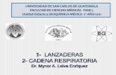 UNIVERSIDAD DE SAN CARLOS DE GUATEMALA FACULTAD DE … · 2011-06-27 · universidad de san carlos de guatemala facultad de ciencias mÉdicas fase i, unidad didáctica: bioquÍmica