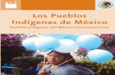 Los Pueblos Indígenas de México - El portal único del ... · Se ha especializado en el estudio de los grupos indígenas del México prehispánico, colonial y contemporá-neo; ha