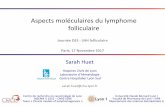 Aspects moléculaires du lymphome folliculaireaihemato.cluster013.ovh.net/AIH/documents/Cours DES/DES... · 2019-10-14 · Aspects moléculaires du lymphome folliculaire Sarah Huet