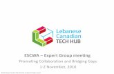 ESCWA Expert Group meeting · 2016-11-04 · ©2016 Lebanese Canadian TECH HUB (LCTH). Confidential All rights reserved ESCWA –Expert Group meeting Promoting Collaboration and Bridging