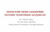 ERKEN EVRE MEME KANSERİNİN SİSTEMİK TEDAVİSİNDE … · 2019-02-04 · ERKEN EVRE MEME KANSERİNİN SİSTEMİK TEDAVİSİNDE GELİŞMELER Dr E. Nilüfer Güler 31 Ocak 2019,