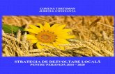STRATEGIA DE DEZVOLTARE LOCALĂ - Tortoman Tortoman 2014-2020.pdf · VII ANALIZA SWOT 165 7.1 Accesibilitate, infrastructură, mediu 173 7.2 Economie – agricultură, mediu de afaceri,