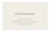 Cell Biomechanics - Home | Lehigh Universityinbios21/PDF/Fall2010/LoweKrentz...MicrobubblesMicrobubbles and Cell Injury and Cell Injury Microbubble Fluid-Filled Airway Microbubble