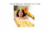 Fluid Mosaic Tub Biology/Unit 2/Activities/Cell... · 2017-10-04 · Extracellular Fluid Globular protein Carbohydrate Hydrophilic heads Phospholipid bilayer Phospholipid molecule