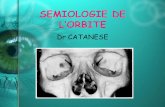 SEMIOLOGIE DE L’ORBITEdcem1p7.free.fr/Ophtalmo/SEMIOLOGIE DE L’ORBITE.pdfSEMIOLOGIE DE L’ORBITE Dr CATANESE Rappels anatomiques • Cavité profonde, ouverte en avant, • 7