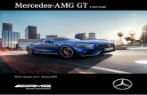 cenik Mercedes-AMG GT 4-door coupe · PDF file 2019-12-31 · Koda Mercedes-AMG GT 43 Mercedes-AMG GT 43 4MATIC+ Mercedes-AMG GT 53 4MATIC+ Mercedes-AMG GT 63 4MATIC+ Mercedes-AMG