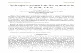 Uso de especies arbóreas como leña en Huehuetlán el Grande ...Revista Iberoamericana de Ciencias ISSN 2334-2501 18 Vol. 3 No. 4 estudio fue identificar las preferencias sobre las