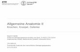 Allgemeine Anatomie II · 2016-02-25 · Funktionelle Anatomie, Di 01.03.2016 - 1 David P. Wolfer Institut für Bewegungswissenschaften und Sport, D -HEST, ETH Zürich Anatomisches
