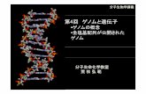第4回ゲノムと遺伝子 - SQUAREsquare.umin.ac.jp/haramaki/yakudai/meneki/050108all.pdf · ゲノム（genome）とは yゲノム(genome)という言葉は、遺伝子 (gene)と染色体(chromosome)の合成語