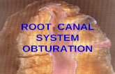 ROOT CANAL SYSTEM OBTURATION - มหาวิทยาลัยขอนแก่น · 2009-05-26 · •Three-dimensional filling of the entire root canal system as close to the