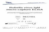 Rubella virus IgM micro-capture ELISA · Rubella virus IgM micro-capture ELISA (RE57091) ESPAÑOL VN 05072017 1 / 8 1. INTRODUCCIÓN La Rubeola está causada por un virus encapsulado
