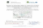 Relazione Tecnica sui Piani di Rischio per l'Aeroporto Villafranca … · 2013-02-21 · Catullo di Verona Villafranca (immagine e testo estrapolati dal Regolamento E.N.A.C. - cap.9,