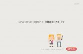 Brukerveiledning Tilkobling TV · 2017-07-12 · Fjernkontroll er inkludert i TV-pakken fra Altibox. Sett deg raskt inn i hvordan du bruker fjernkontrollen og du vil få full glede