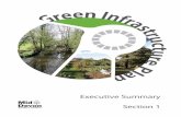 GIP Executive Summary - Mid Devon · 2015-06-02 · Executive Summary Draft Green Infrastructure Plan 3 Introduction 1.0 As much as roads, schools and hospitals, natural green space