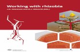 Working with rhizobia - Murdoch University · Working with rhizobia J.G. Howieson and M.J. Dilworth (Eds.) 2016 Centre for Rhizobium Studies Murdoch University. The Australian Centre