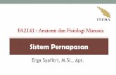 FA2141 : Anatomi dan Fisiologi FA2141 : Anatomi dan Fisiologi Manusia . Topik Bahasan ¢â‚¬¢Anatomi Fungsional