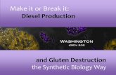 Make it or Break it - 2011.igem.org2011.igem.org/files/presentation/Washington.pdf · Make it or Break it: Diesel Production and Gluten Destruction the Synthetic Biology Way . Washington