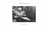 André Breton - Webnodefiles.bibliotecadepoesiacontemporanea.webnode.es... · 2011-06-03 · André Breton (1896-1966) à Pierre Mabille Je ne suis pas pour les adeptes Je n'ai jamáis