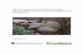 Threatened plants and animals in Kakadu National Park: a ... · Plant species recorded from Kakadu NP and currently (August 2004) considered as threatened under theEnvironment Protection
