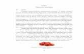 BAB II TINJAUAN PUSTAKA 2.1 Tomatmedia.unpad.ac.id/thesis/240110/2012/240110120029_2_7396.pdf · 10 BAB II TINJAUAN PUSTAKA 2.1 Tomat Tanaman tomat (Solanum lycopersicum) termasuk