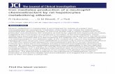 chemoattractant by rat hepatocytes · generator ofoxyradicals within the cell (7, 8). In a cell-free ... (12). At the time ofdeath, iron-deficient animals weighed 110-130g, or20-30%lessthaniron-fedcontrols.