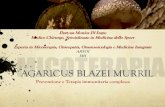 AGARICUS BLAZEI MURRIL - ARTOI The Journal of Immunology illustra con marcatori fluoresceinati le propriet£ 