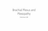 Brachial Plexus and Plexopathyweb.brrh.com/msl/Degenerative Disease of the Spine - Diagnosis and Management 2016...Acute Brachial Plexus Neuropathy •Can occur at any age •The pain