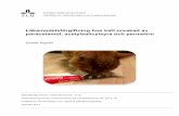 Läkemedelsförgiftning hos katt orsakad av paracetamol, … · Sveriges lantbruksuniversitet Fakulteten för veterinärmedicin och husdjursvetenskap Läkemedelsförgiftning hos katt