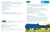 Bovine Respiratory multiplex PCR PCR A5 leaflet v4.pdf · Pneumonia due to Histophilus somni and Mannheimia haemolytica in a 20 month old fattener RSV pneumonia in a three month old