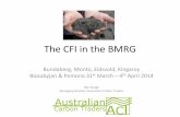 The CFI in the BMRG · The CFI in the BMRG Bundaberg, Monto, Eidsvold, Kingaroy Booubyjan st& Pomona 31 March – 4th April 2014 Ben Keogh Managing Director Australian Carbon Traders