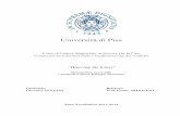 Università di Pisa - CORE · 2017-03-22 · Università di Pisa !!! Corso di Laurea Magistrale in Scienze per la Pace Cooperazione internazionale e trasformazione dei conflitti !!!